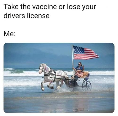 FB_IMG_1611107132571