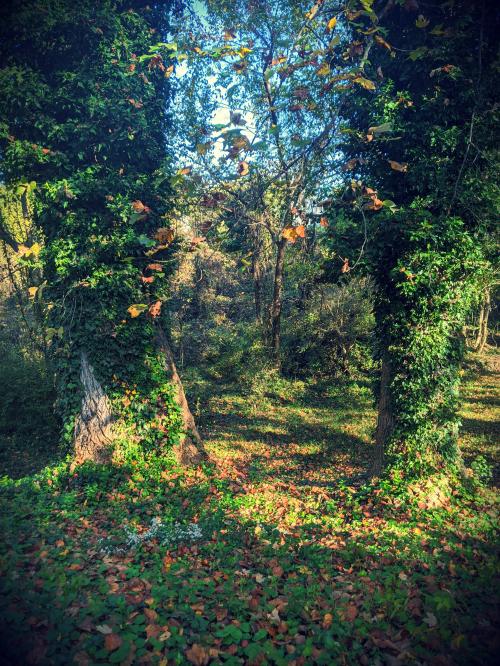 PXL_20201024_140839889