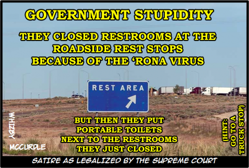 GOVERNMENT STUPIDITY 01012021 A copy