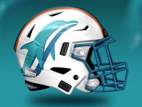 Concept-2-Dolphins