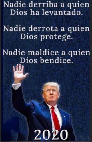 trump a noche de las elecciones