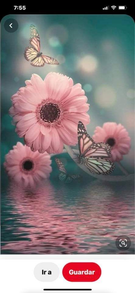 FB_IMG_1606863643826