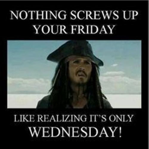 sparrow-hump-day-meme-