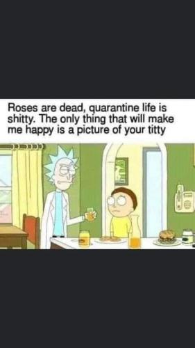 FB_IMG_1599602639660