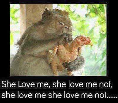 received_1236688570026094