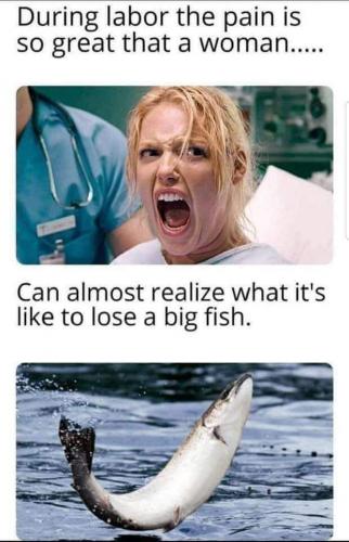 FB_IMG_1599341755352