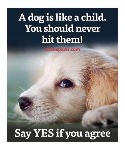 FB_IMG_1607262245999