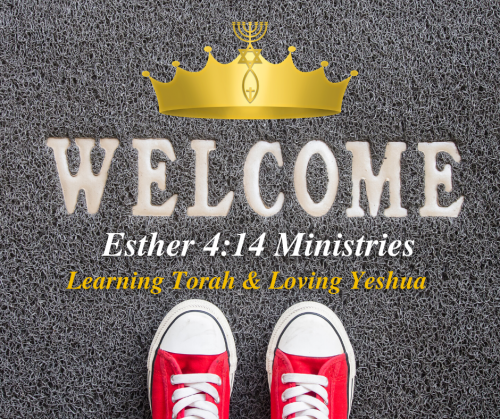 Welcome mat