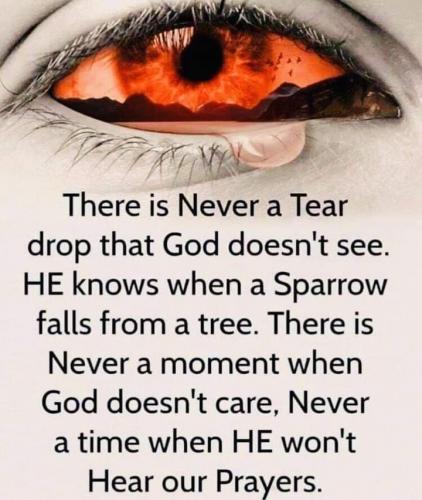 FB_IMG_1611402963865