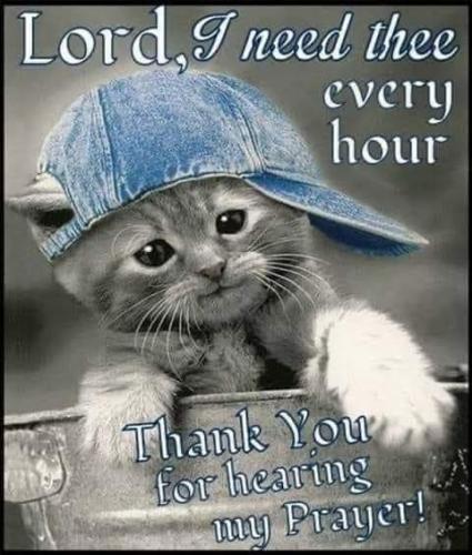 FB_IMG_1611578359163