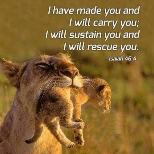 FB_IMG_1610693389628