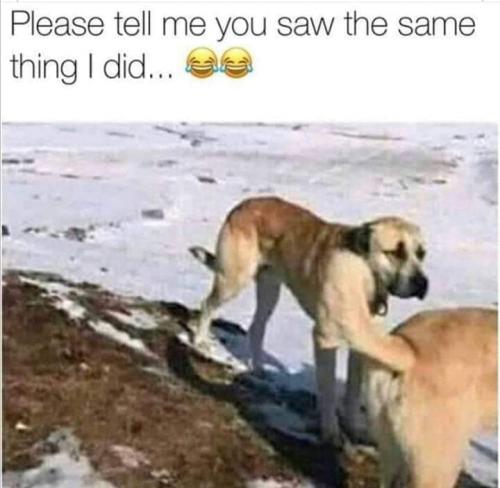FB_IMG_1594953131402