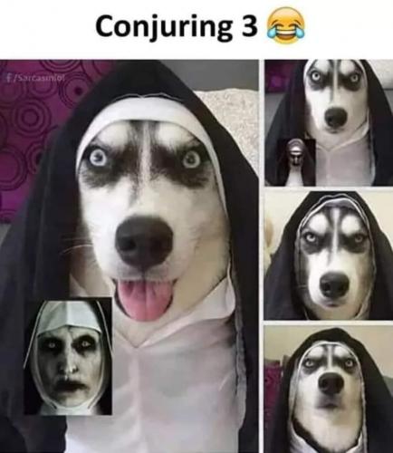 received_415902263083945