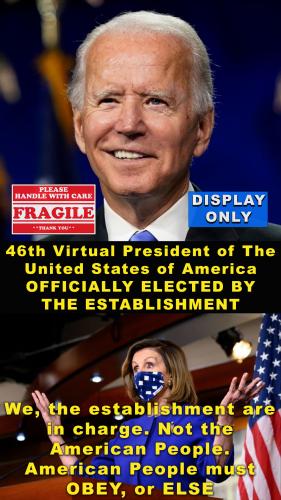 Fake President