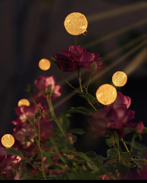 IMG_6996.PNG