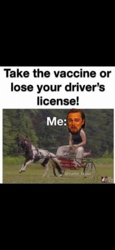 FB_IMG_1610649332740