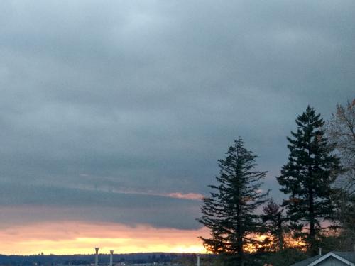 IMG-20201111-WA0000