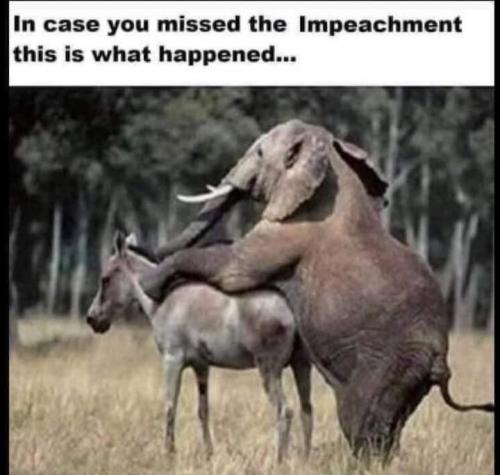 FB_IMG_1613489398544