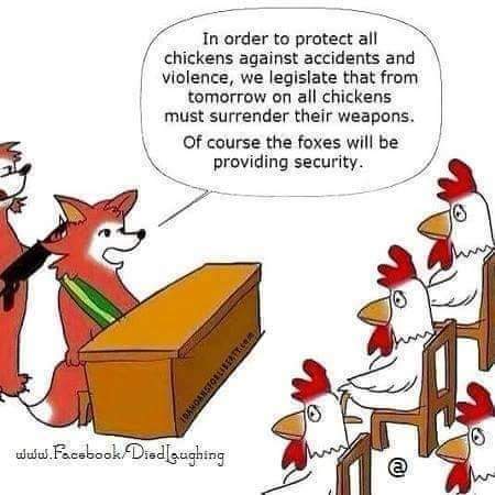 FB_IMG_1614012656164