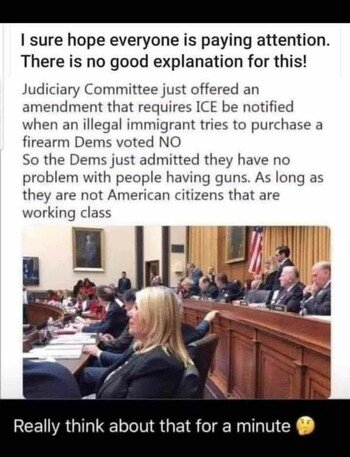 OK for Illegals to have guns