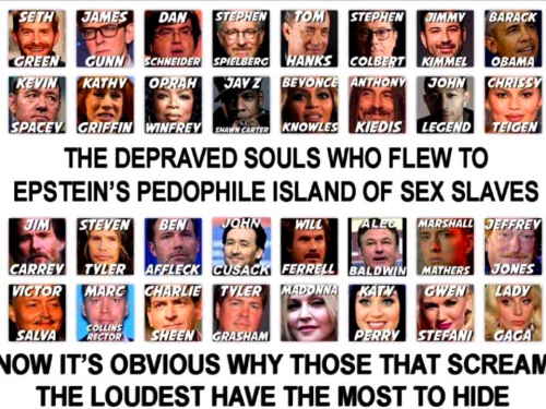 Flew to Epstein's island