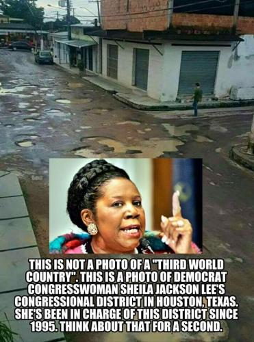 Sheila Lee's Congerssional District