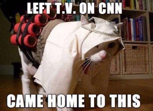 FAKENEWS.LOL.BESTLOL.