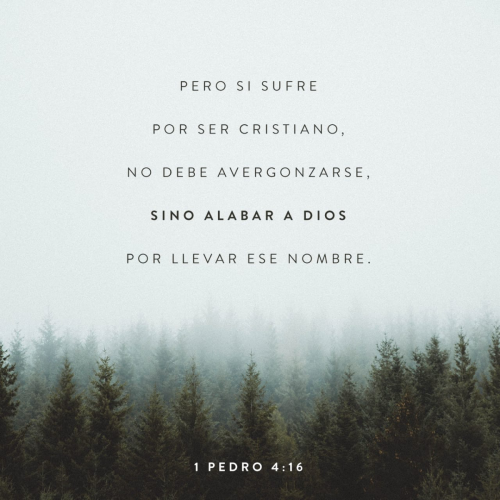 save-image