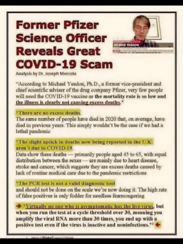 Former Pfizer Science Officer