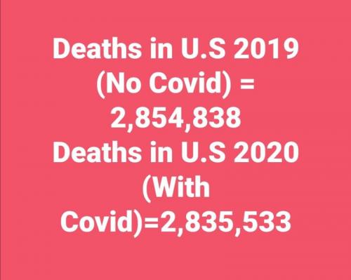 2019 vs 2020 deaths