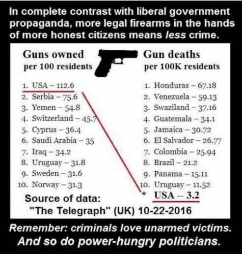 Gun Crimes