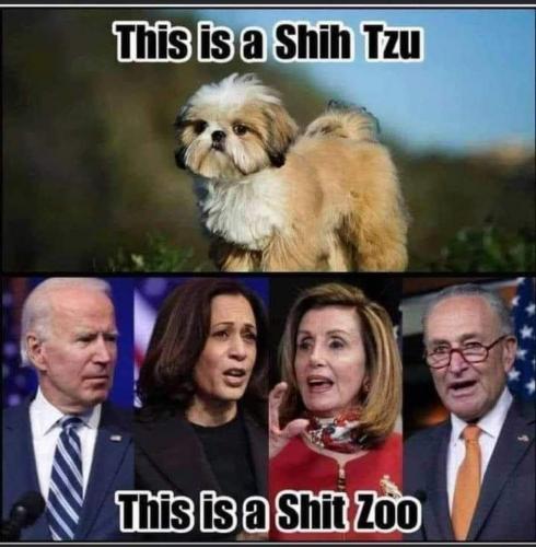 FB_IMG_1614290596107