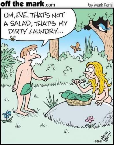 Not Salad