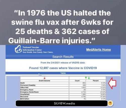 Swine Flu Vax stopped