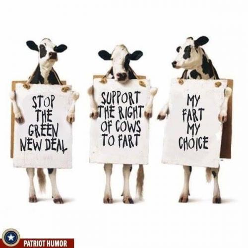 My Fart