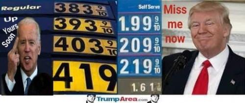 MissTrump
