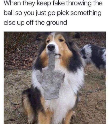 FB_IMG_1614310099673