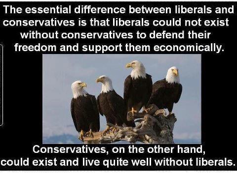 Liberals NEED Conservatives