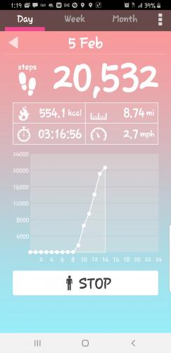 Screenshot_20210205-131947_Pedometer