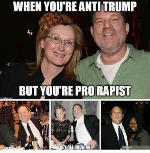 Anti Trump but pro rapist...