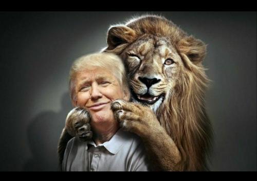 Our Lion of Judah has Trump...and U.S.