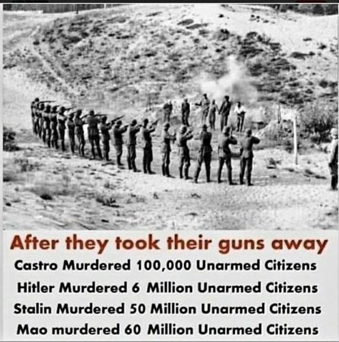 TRUMP.Q.GUNS.DONTLETTHEM.