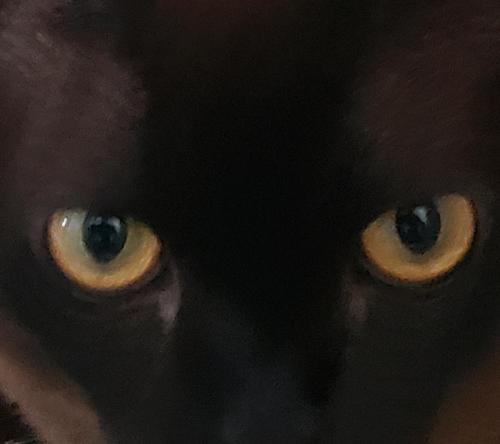 20190603_211857