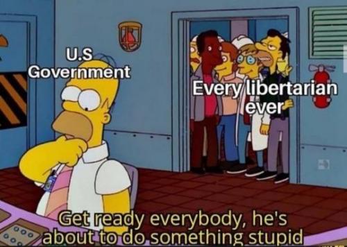 Libertarian vs Government