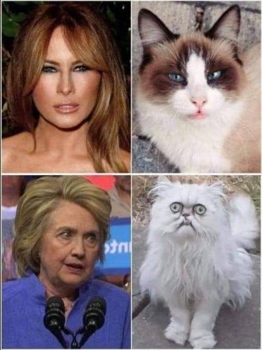 FB_IMG_1614230940180