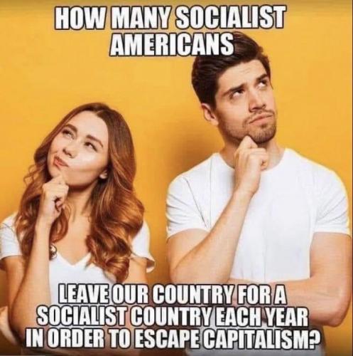 How many Socialists