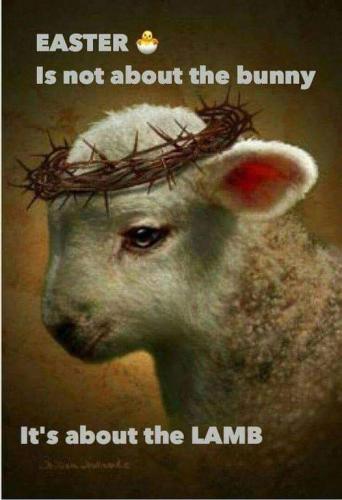 FB_IMG_1616546509066