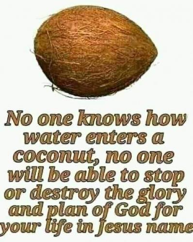 FB_IMG_1616670096971