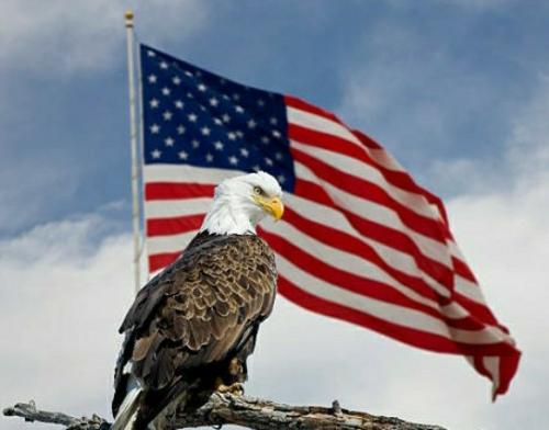Dream 3-6-21  Joe Biden replaced by Eagle