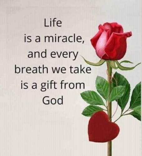 FB_IMG_1614656836950